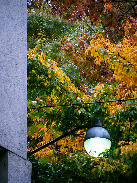 mb_1027150115.jpg 480×640 277K