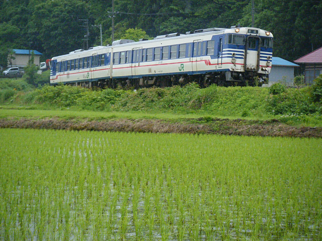 ogino.jpg 640×480 229K