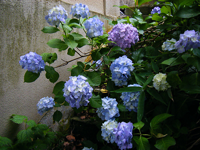 mb_0714192657.jpg 640×480 229K