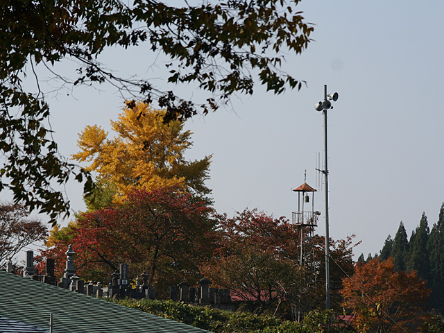 mb_1029225118.jpg 640×480 196K