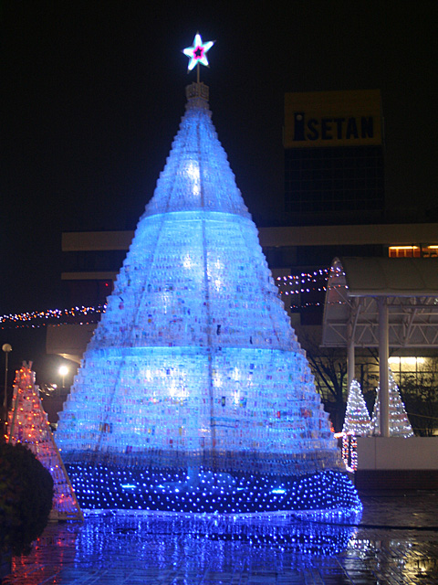 cbc_1.jpg 480×640 186K