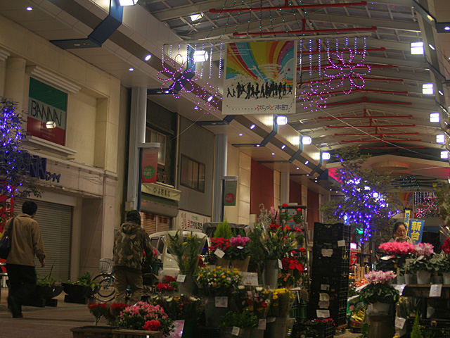 hon6.jpg 640×480 193K