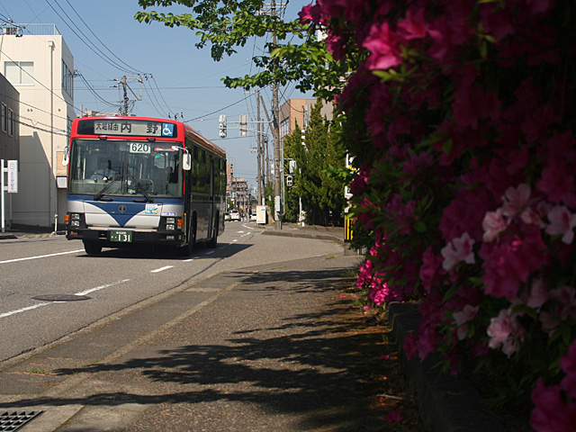 620_aohon.jpg 640×480 170K