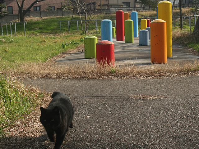 blacknuko4.jpg 640×480 224K