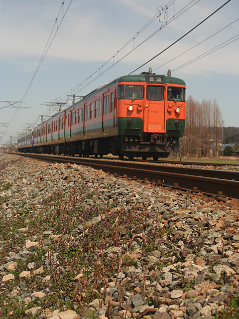 horsetail.jpg 480×640 204K