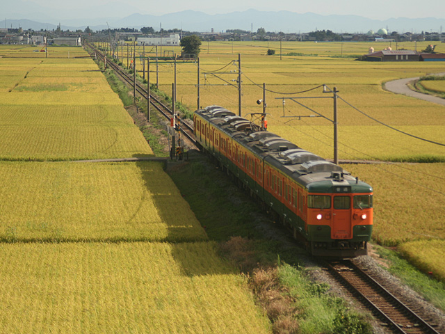 orange_8.jpg 640×480 174K