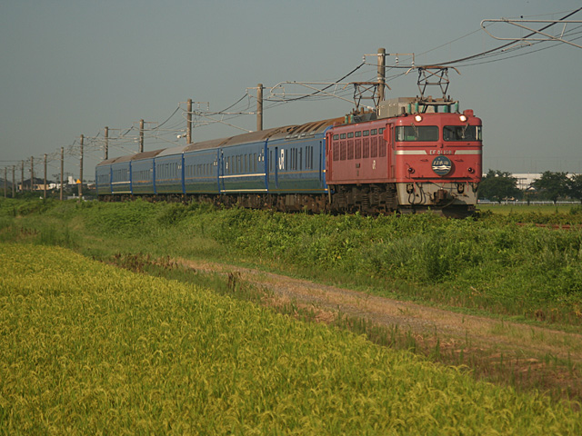 sojp_8.jpg 640×480 168K