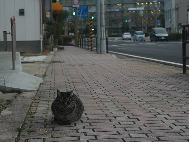 st1.jpg 640×480 138K