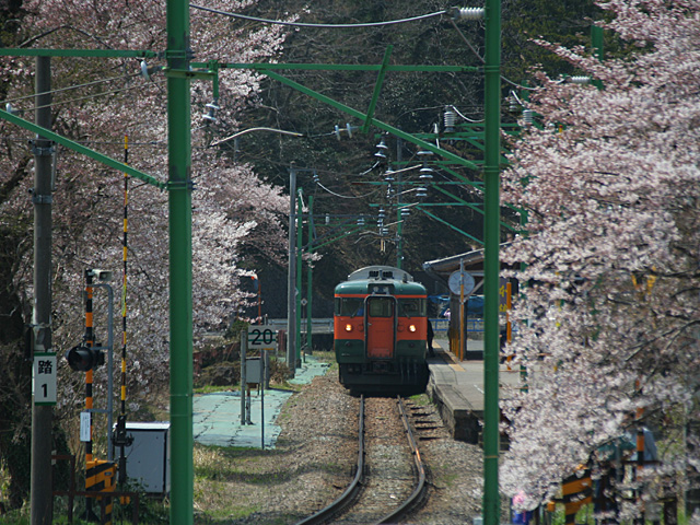 y90.jpg 640×480 224K