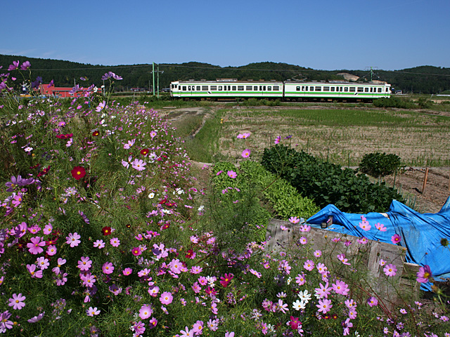 139m_9.jpg 640×480 258K