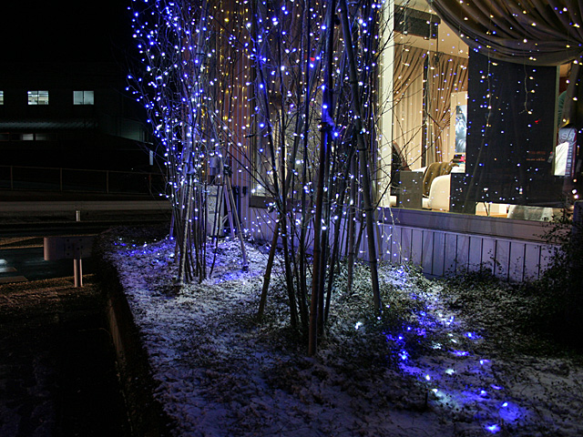 b_marie.jpg 640×480 225K