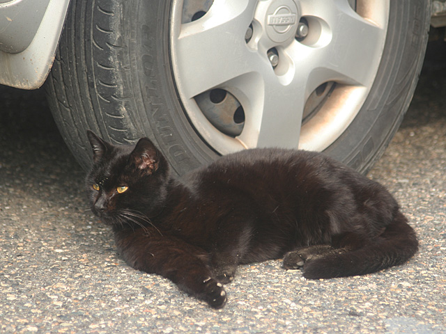 hanan.jpg 640×480 157K