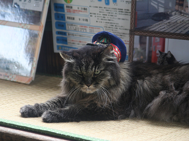 honor_master.jpg 640×480 145K