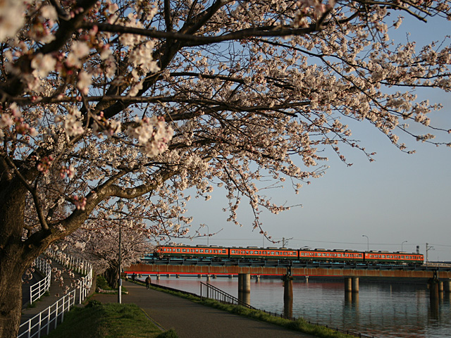 l6_42.jpg 640×480 244K