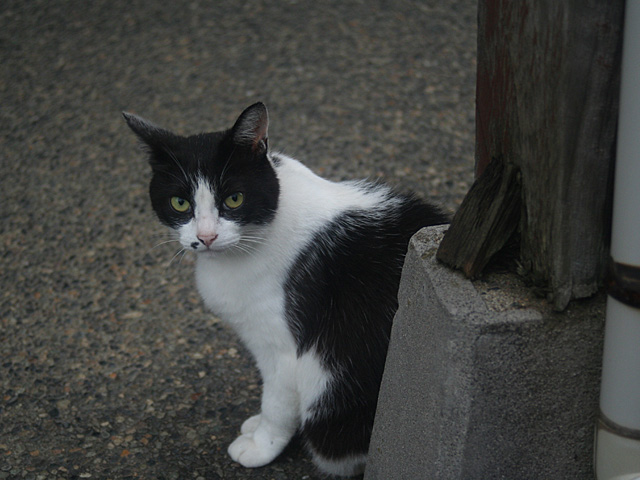 teraon.jpg 640×480 123K