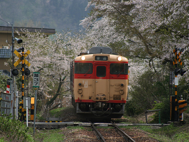 227d_4.jpg 640×480 203K